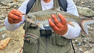 Fishing for small copper mahseer with spinners [upl. by Ailama110]