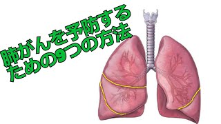 肺がんを予防するための9つの方法 [upl. by Beora]