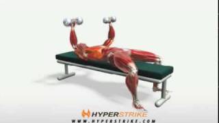 Exercise Videos Dumbbell Bench Press [upl. by Karel366]