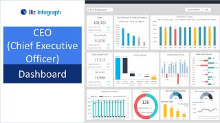 CEO Dashboard Template dynamic flexible and ready dashboard [upl. by Onaivatco]