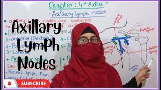 Axillary lymph nodes  chapter 4  axilla  upper limb anatomy  bd churasia [upl. by Aidas]