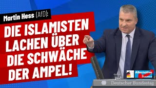 Martin Hess AfD Islamisten lachen über die Schwäche der Ampel [upl. by Iznil]