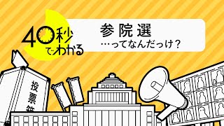 【40秒でわかる】参院選ってそもそも何？ 決め方・投票方法…ざっくり解説 [upl. by Ahsiner]