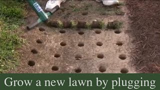 How to grow a new lawn by plugging [upl. by Healey]