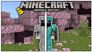 I Create A Full Diamond Armor ⛏️ In Minecraft  Cherry Grove Only World  3 lukhkhabrothers [upl. by Swope]