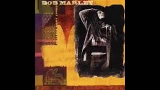 Bob Marley amp MC Lyte  Jammin Chant Down Babylon 1999 [upl. by Marcela963]