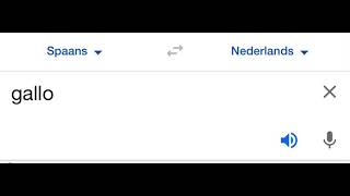 viral rooster translate to gallo google translate englisb to spanish [upl. by Adnolahs]