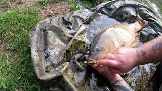 Baden Hall Fishery  Surface Fishing [upl. by Acissej]