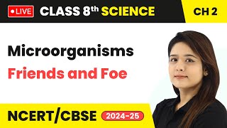 Microorganisms Friends and Foe  Class 8 Science Chapter 2  CBSE 2024 live livestream [upl. by Aisela920]