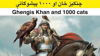 چنګیز خان او ۱۰۰۰ پیشوګانې Ghengis khan and 1000 cats [upl. by Rapp864]