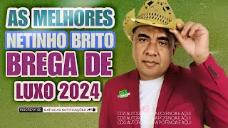 NETINHO BRITO OFICIAL  AS MELHORES BREGA DE LUXO ATUALIZADO 2024 [upl. by Ahseram871]