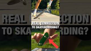 Fingerboard vs skateboard breakdown 🔥do you agree 👇🏼 fingerboard skateboard shorts hobby [upl. by Naaitsirhc]