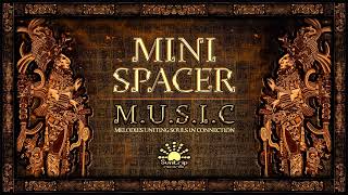 Mini Spacer  Whisper Of Wisdom [upl. by Yellah]