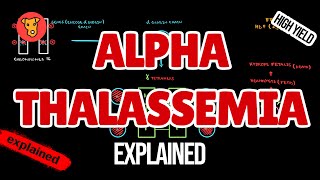 AlphaTHALASSEMIA Pathogenesis Electrophoresis Clinical symptoms for USMLE [upl. by Vareck]