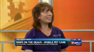 KPLC MIDDAY SHOW FEATURES PAWS ON THE GEAUX [upl. by Airtemad964]