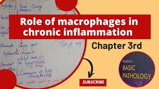 Role Of Macrophages in chronic inflammationRobbins Pathologychronic inflammationpathologyrobbins [upl. by Neiv]