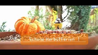 Schöne Herbstferien [upl. by Ethbin]