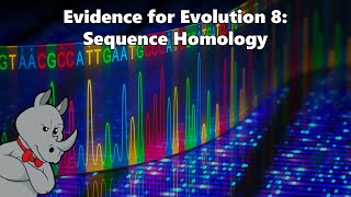 Evidence for Evolution  Sequence Homology [upl. by Keheley]