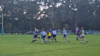 U12s Div4 Brothers vs Waratahs [upl. by Vaules696]