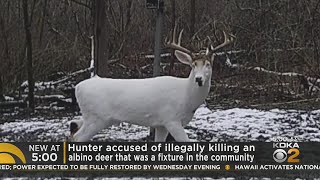 Community outraged over albino deer killed in Fayette County [upl. by Annerb79]