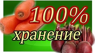 ХРАНЕНИЕ МОРКОВИ И СВЕКЛЫ 100 [upl. by Mian976]