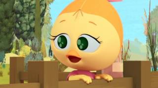 Calimero 3D 2014  Episode 16  A Star Is Hatched  English [upl. by Sokram]