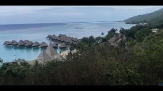 A Cruise To Moorea FRENCH POLYNESIA and Our Day at Port [upl. by Nrubua]