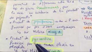 Tp systématique  famille des pseudomonadaceae  L3 microbiologie  🏨🧪 [upl. by Etnoved403]