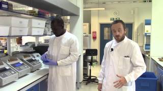 Andrew Taylor  Vegetable crop pathology research at Warwick Crop Centre [upl. by Alcine]