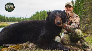 Black Bear Hunts Vol1  Best Of  Canada in the Rough ULTIMATE Bear Hunting Compilation [upl. by Germana]