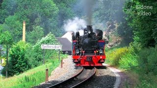 Eisenbahn 2012 45 Dampfloks  Steam Trains  Züge [upl. by Larina724]