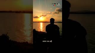 Adarayata Huru Purudu Kala Gathee   ආදරයට හුරුපුරුදු කරගතී  CHINTHAA MUSIC [upl. by Merchant]