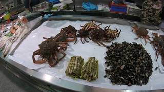 🔵 Fish Market Galicia Spain  Galician Food  A Wide Variety of Seafood [upl. by Edecrem]