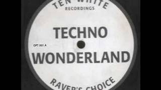 Ravers Choice  Techno Wonderland [upl. by Eenaj]