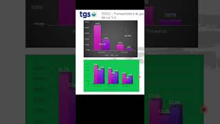 TGSU2 – TRANSPORTADORA DE GAS DEL SUR SA  3T 2023 shorts [upl. by Lower840]