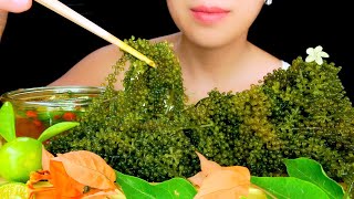 ASMR RAW SEA GRAPES PLATTER  EXTREMELY CRUNCHY EATING SOUNDS  RONG NHO TracyN ASMR [upl. by Alessandro]