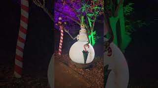 The Nightmare Before Christmas Light Show Snowman nightmarebeforechristmas [upl. by Iline]