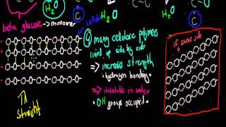 3 Structure of cellulose HSC chemistry [upl. by Notsyrb]