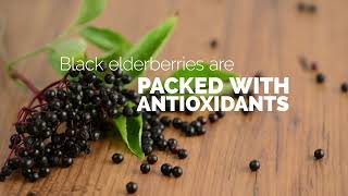 Benefits of Black Elderberry  Sambucol [upl. by Lidia]