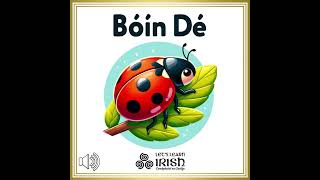 Top 50 Irish Words Bóín Dé meaning ladybirdladybug 50Focal Shorts Gaeilge Irish BóínDé [upl. by Gianina486]