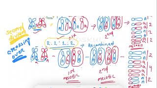 Practice PYQ  Tetrad Analysis ORDERED Tetrad Analysis CSIR NET [upl. by Eseilenna]