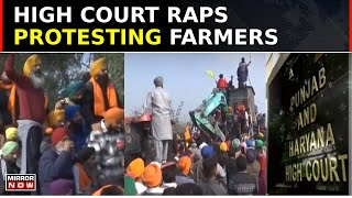 Farmers Stir 20 PunjabHaryana High Court Hears Plea No TractorTrolleys At Highways  Top News [upl. by Einnob279]