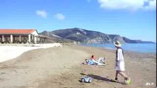 Official Harlem Shake Zakynthos  Kalamaki Beach  Greece [upl. by Itsa]