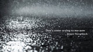 Jasper Steverlinck  Dont Come Crying To Me Now Lyric Video [upl. by Leuneb]