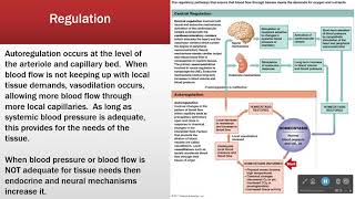 Cardiac Output and Its Regulation [upl. by Amice926]