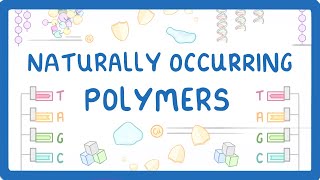 GCSE Chemistry  Naturally Occurring Polymers  Polypeptides DNA and Carbohydrates 61 [upl. by Edorej135]