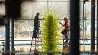 Chihuly Fern Green Tower Time Lapse [upl. by Altman921]