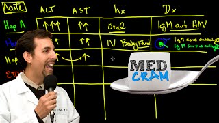 Liver Diseases Explained Clearly Acute vs Chronic Hepatic Diseases [upl. by Hamlani]