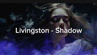 Livingston  Shadow Lyric Video [upl. by Busiek61]