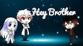 Hey Brother  GMV  Avicii [upl. by Notlrahc756]